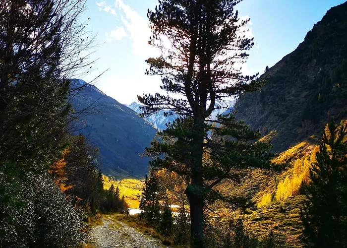 Martinshof Летний дом