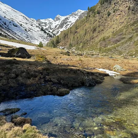 Martinshof לאדיס