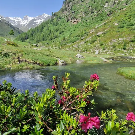 Martinshof לאדיס